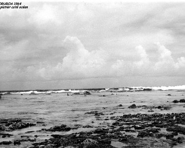 image clich__s N _amp_ B Polyn__sie 1964 1965 1293x973