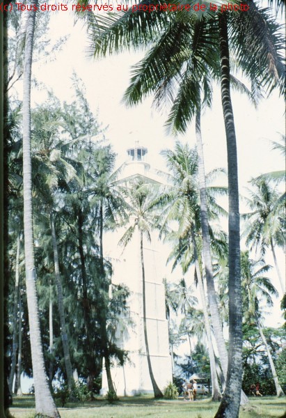 TAHITI 1967-68 (96)