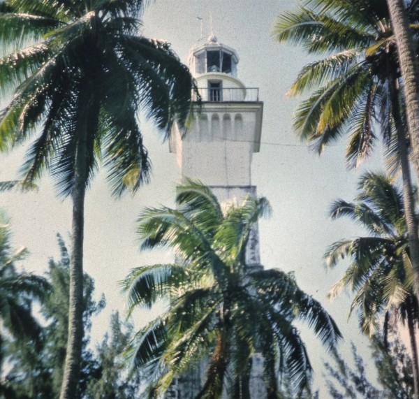 Tahiti1964 -P1100523-sap