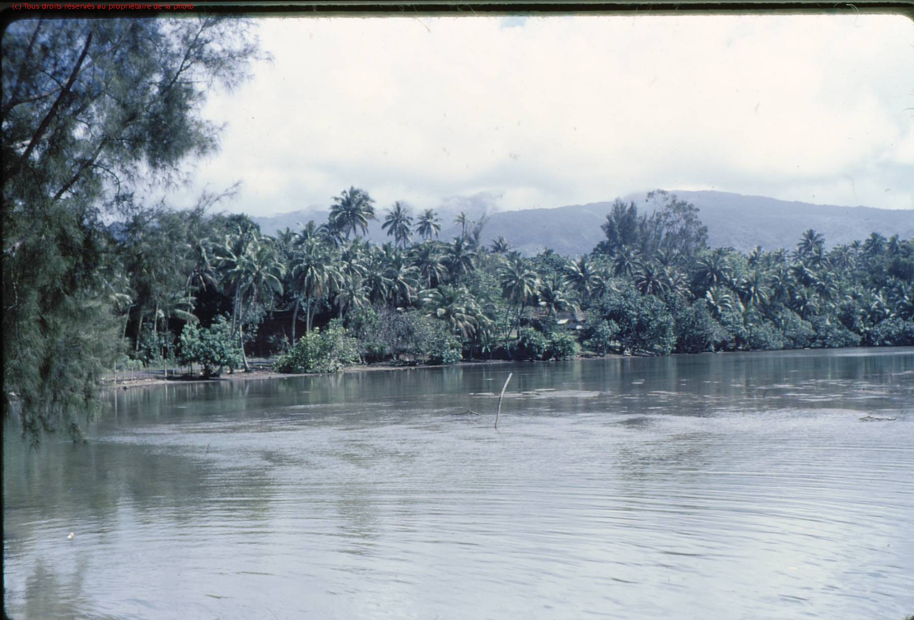 TAHITI 1967-68 (90)
