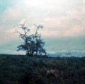 19680100 b17 vue de la Presqu’île. Tahiti Iti ou Taiarapu