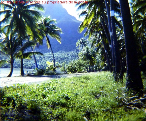19661200 a10 - en détente à  Bora-Bora