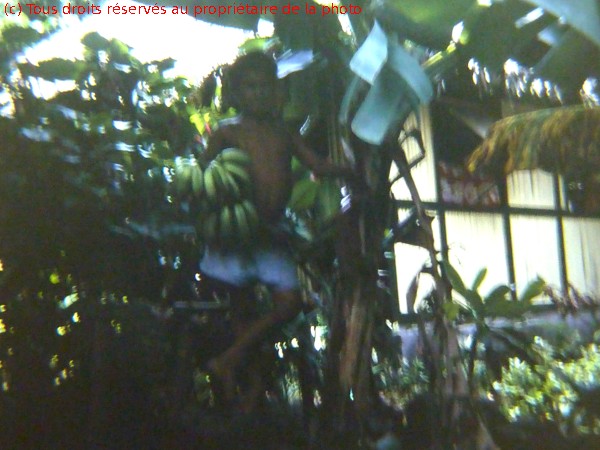 19661200 a16p Bora Bora en la famille d'acceuil