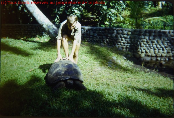 19671000 01p Thaiti Musee Gaugin