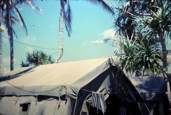 19680200 b24 Totégégie Piper