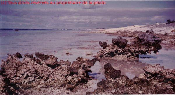 023 Totégégie, récif du motou Tuaeou.  06/1967