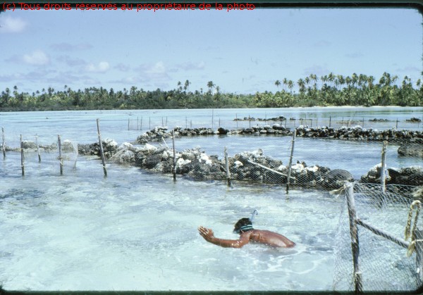 Rangiroa 1967 (3)