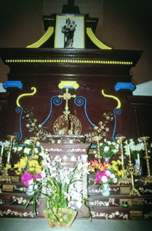 8546729-13454782.jpg