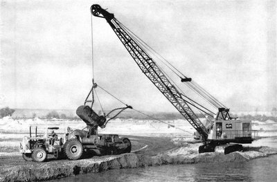 Grue Marion.jpg