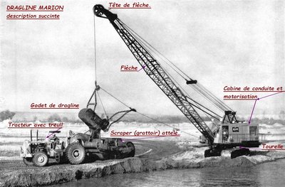 Grue Marion.description.jpg