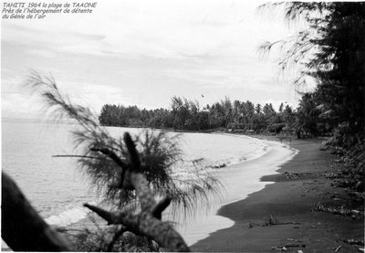 image clichés N & B Polynésie 1964 1965 1366x947.jpg