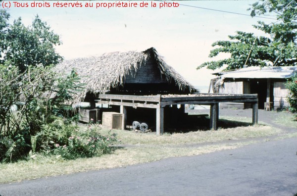 TAHITI 1967-68 (17)