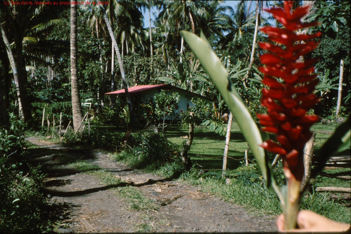 TAHITI 1967-68 (84)