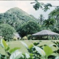 TAHITI 1967-68 (97)