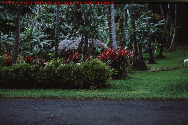 TAHITI 1967-68 (104)