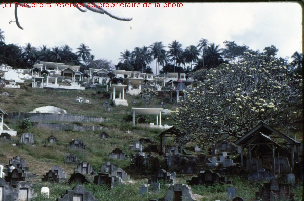 TAHITI 1967-68 (100)