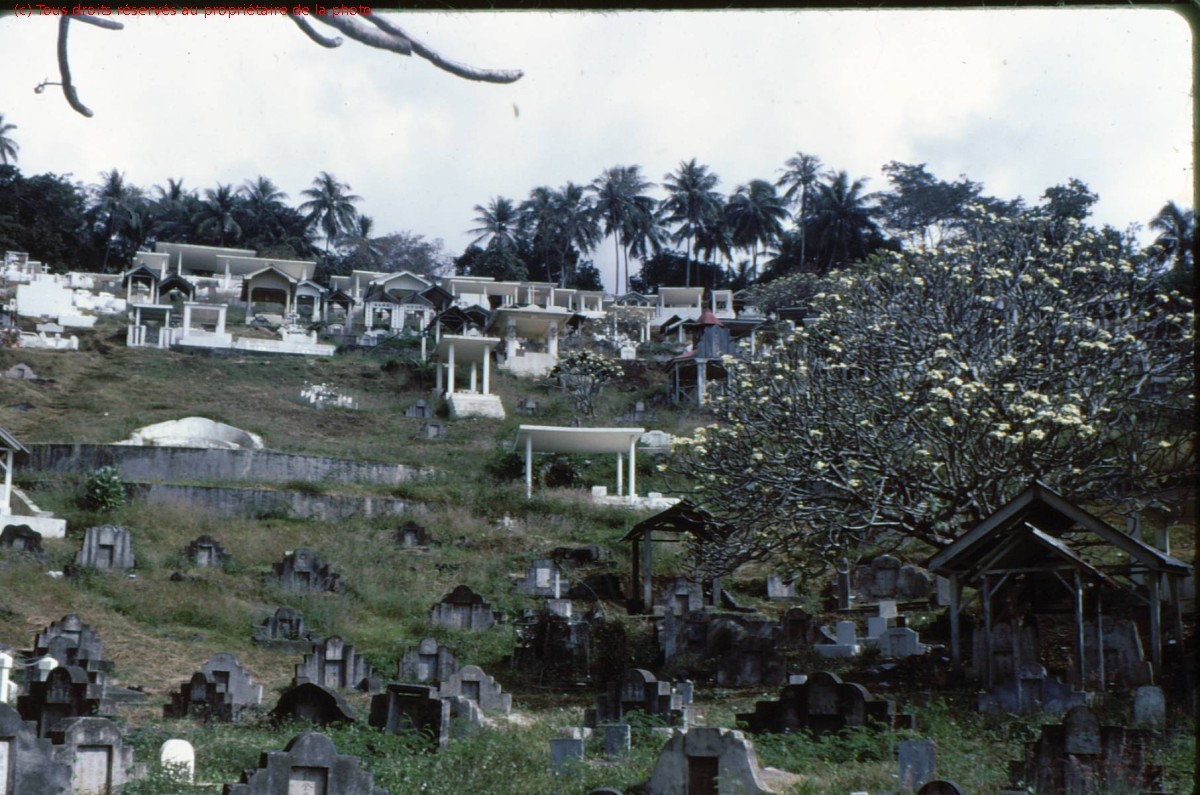 TAHITI 1967-68 (100)
