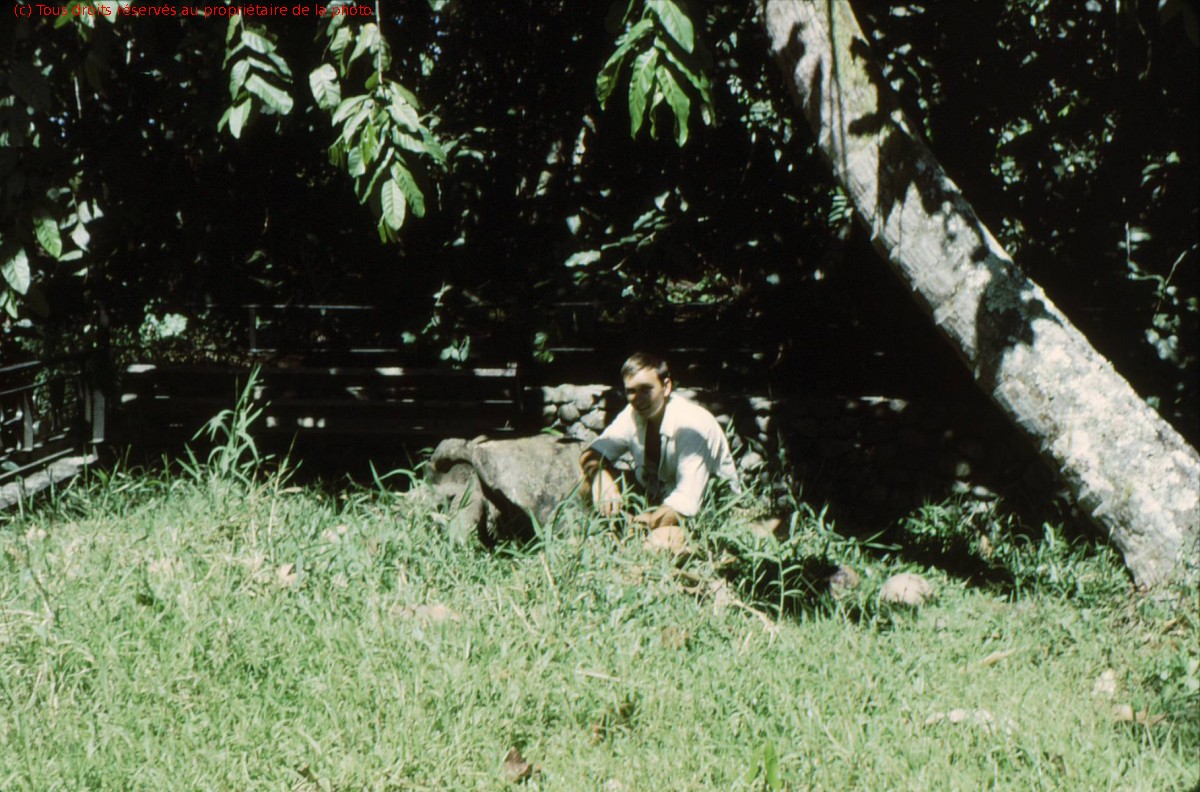 TAHITI 1967-68 (9)