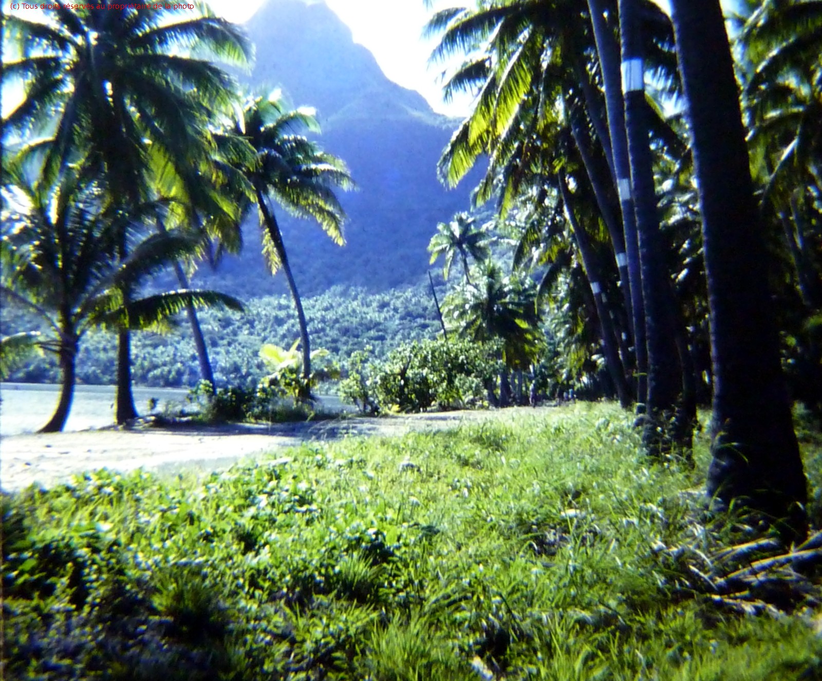 19661200 a10 - en détente à  Bora-Bora