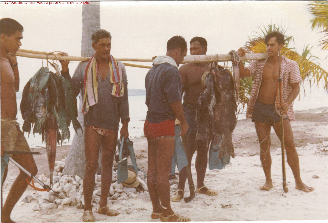 Gambier 1967, Totégégie Tahitiens 115, Maurice, Pahia, Yves