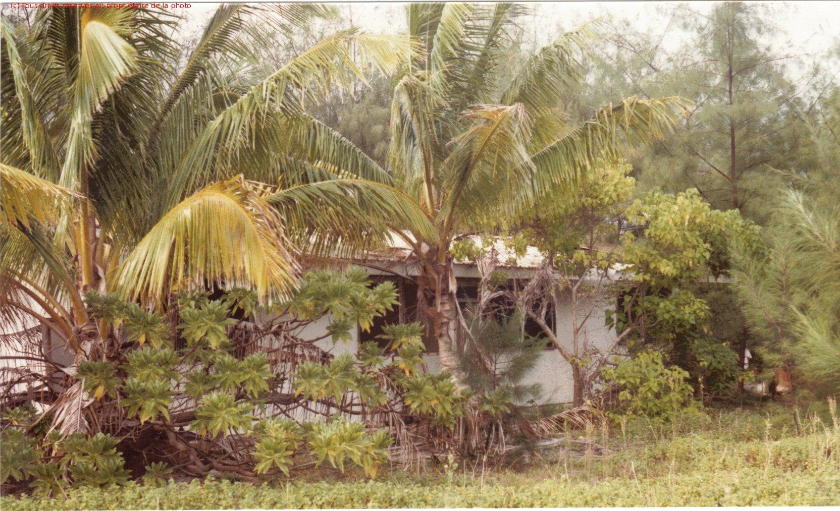 Gambier 1986, ruines maison vaguemestre, par abandon