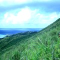 Dans la montagne de MANGAREVA