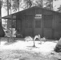 Mururoa 1964 Bureau d'études