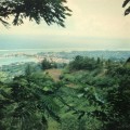 Tahiti1964 -P1100537