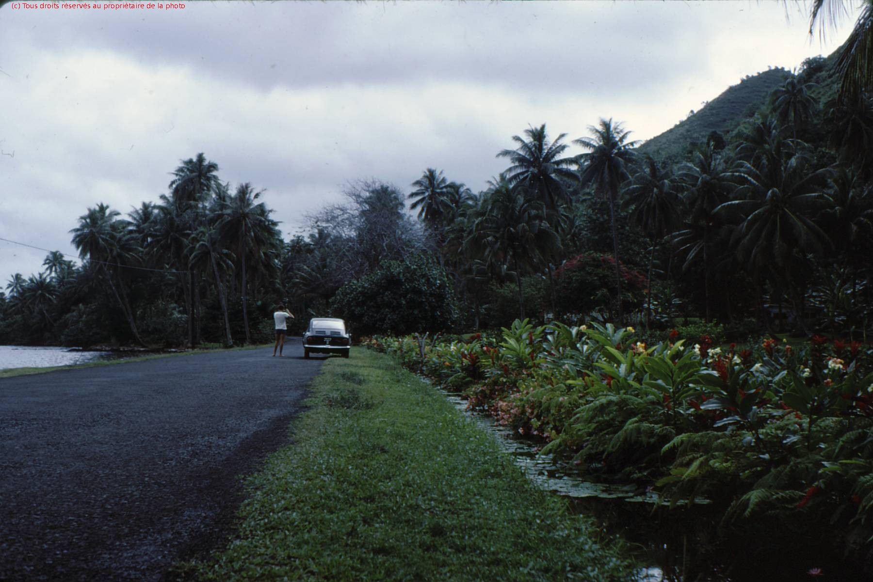 TAHITI 1967-68 (78)