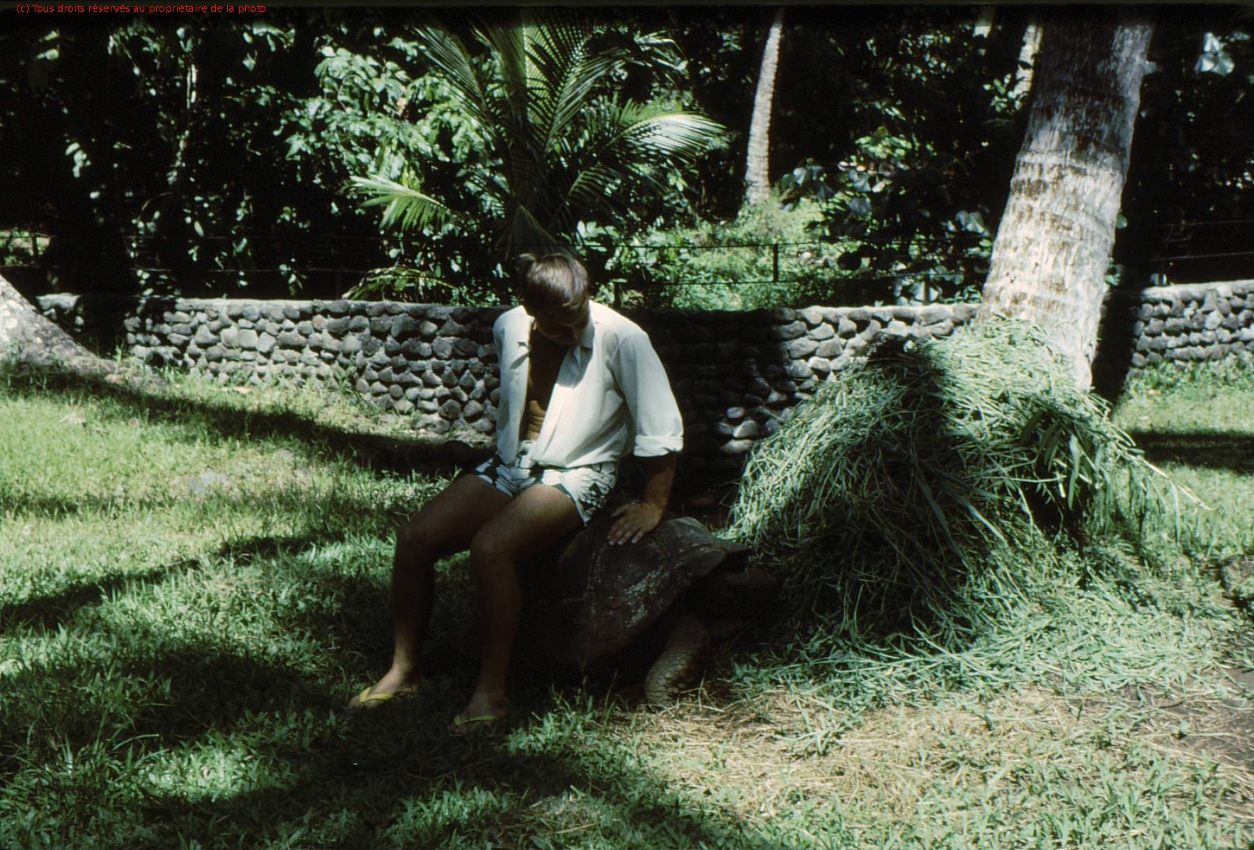 TAHITI 1967-68 (11)