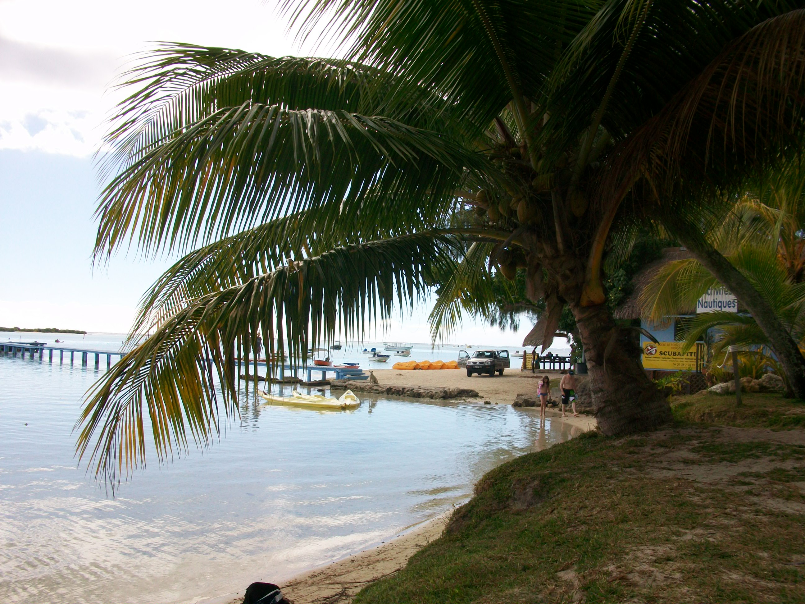 Photo 014