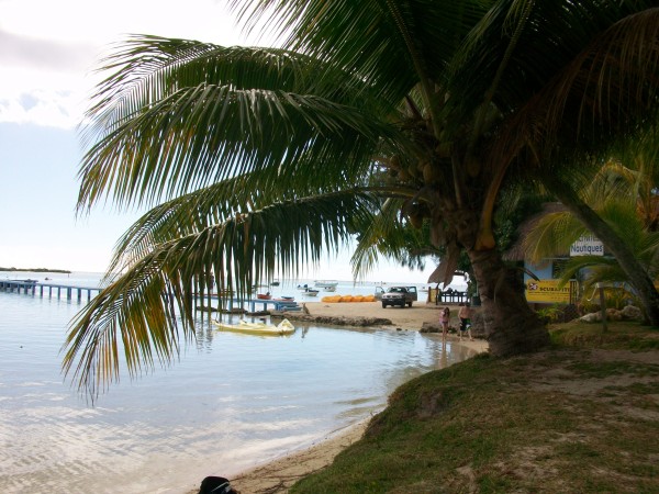 Photo 014