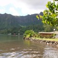 Photo 016