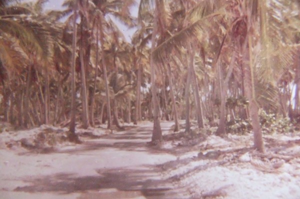 DSCF0046
