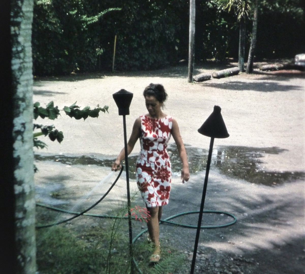 Tahiti1964 -P1100551