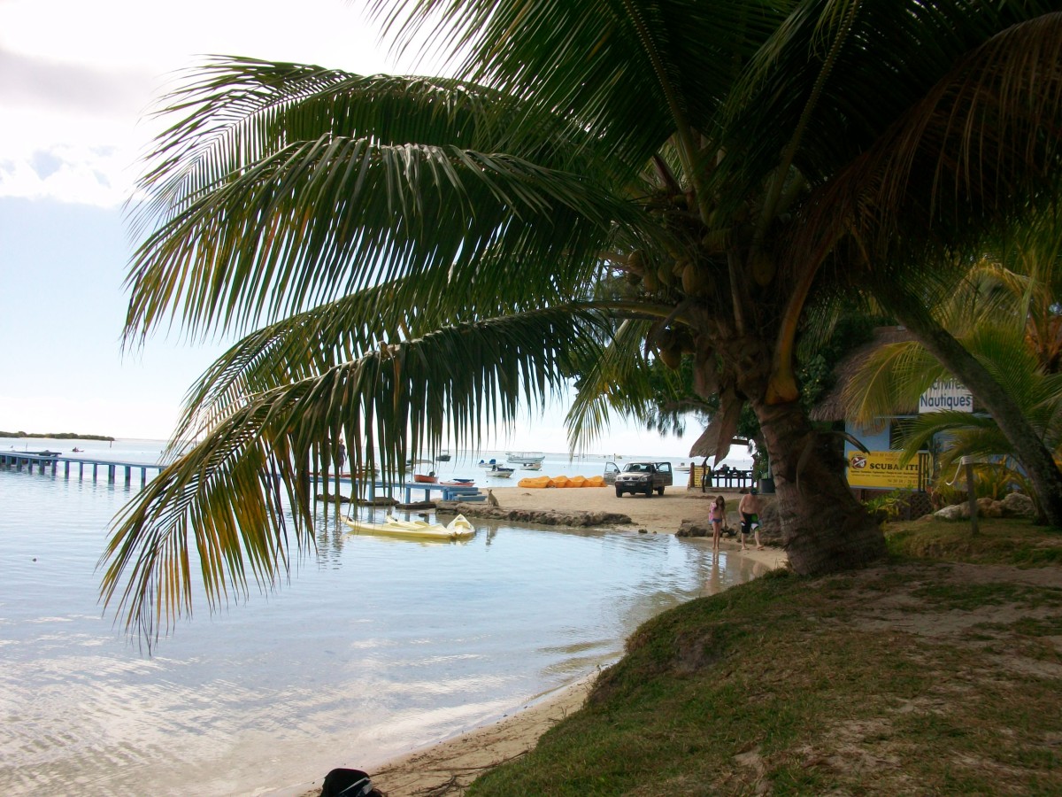 Photo 014
