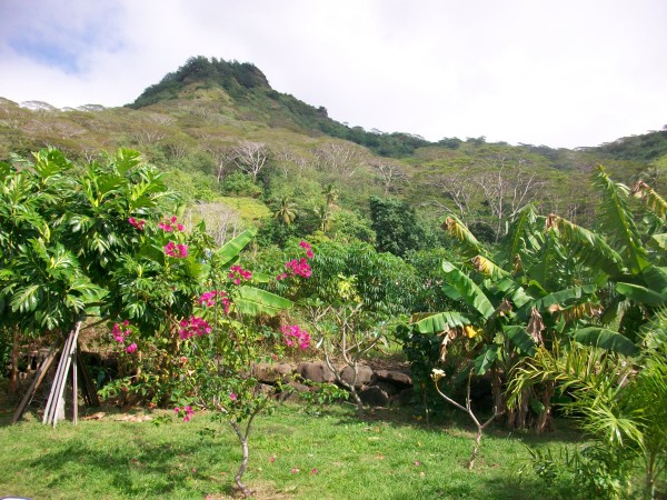 Photo 044