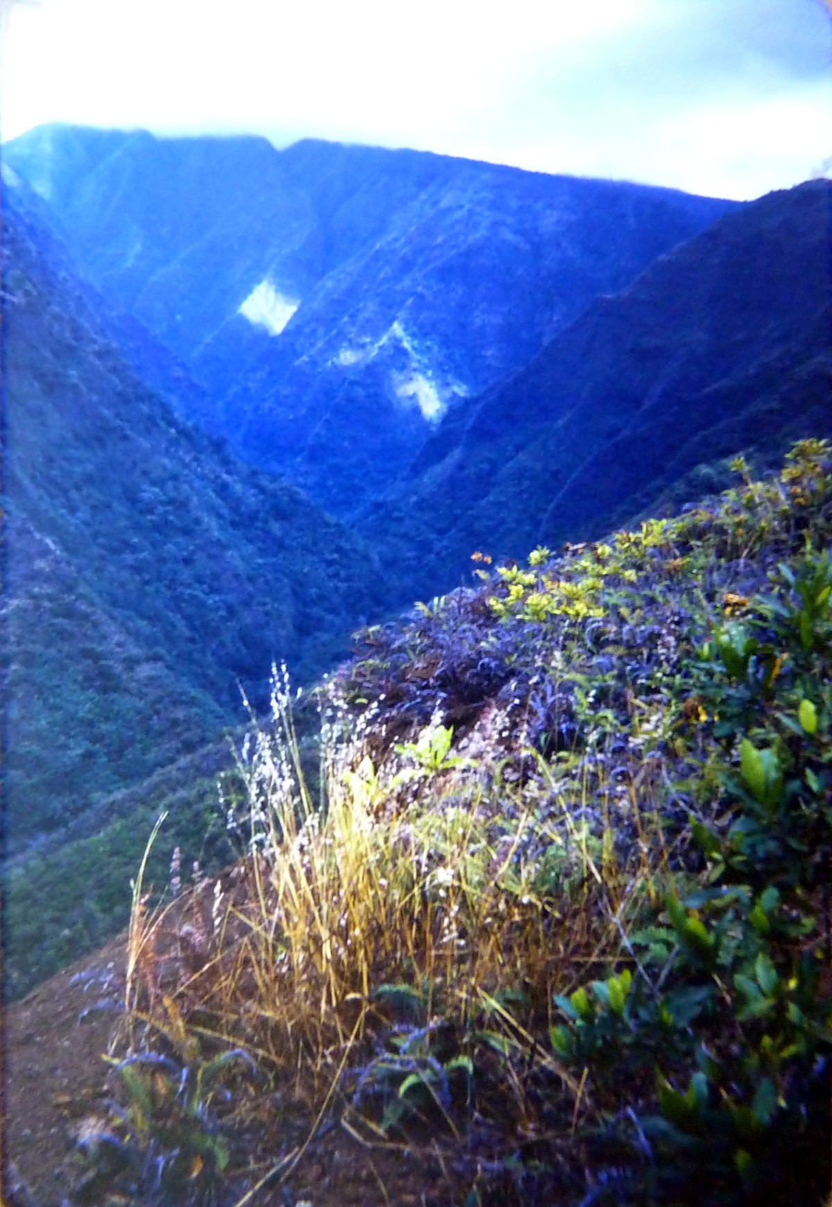 19670900 17p Tahiti