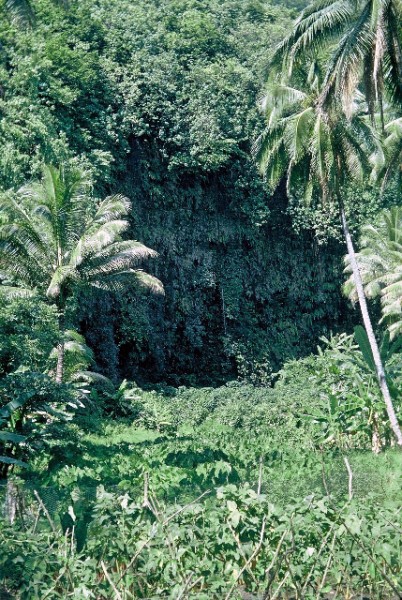 041 grotte à Mataiea(1).JPG
