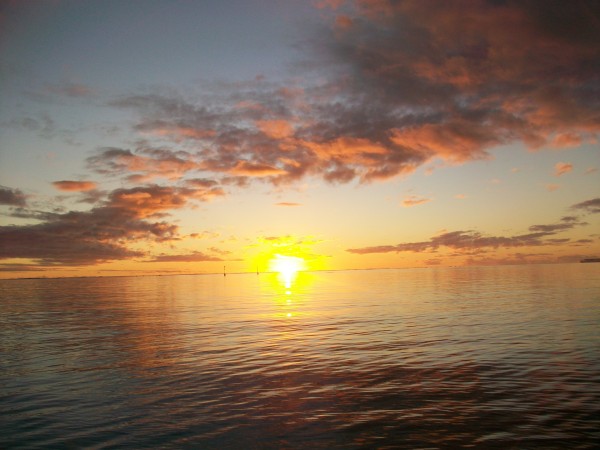 Photo 066