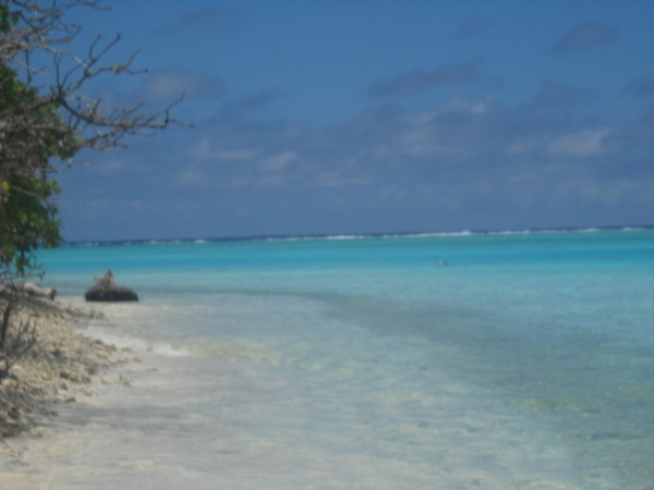 DSCN1423