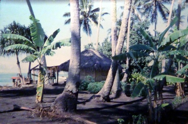 19680200 b03 faré à Tahiti