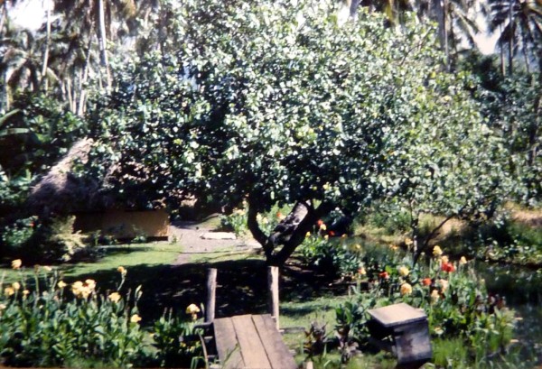 19680200 b05 faré à Tahiti