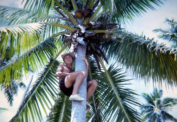 19680300 a04 primate des cocotiers à Totégégie