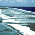 hao-base2343-