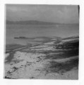 img019