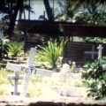 Vue du cimetière d'Otépa (Hao) (Roti = Rose en Tahitien)