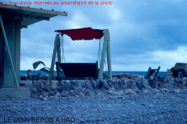 tote31