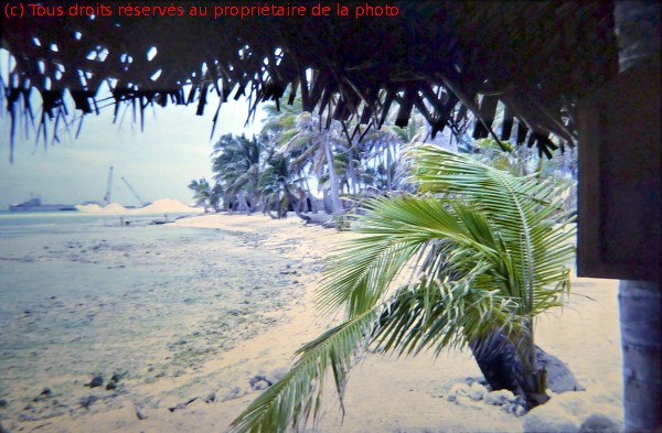 19671100 33p Totégégie