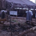 installation de nos tentes dès notre arrivée à Mangaréva